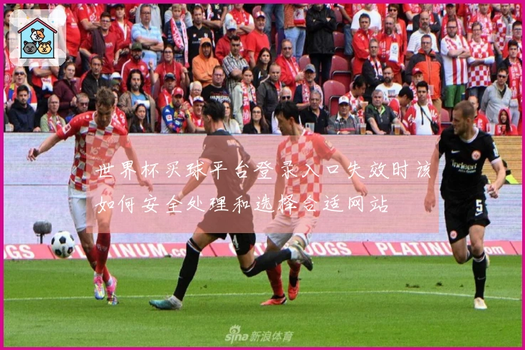 世界杯买球平台登录入口失效时该如何安全处理和选择合适网站