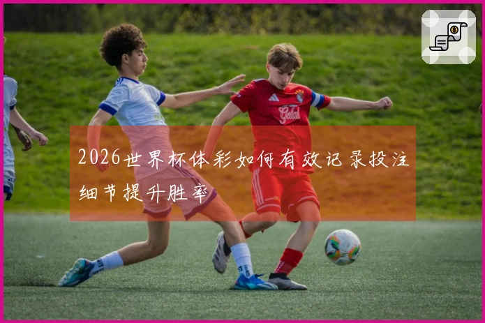 2026世界杯体彩如何有效记录投注细节提升胜率