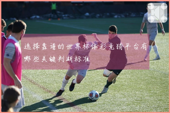选择靠谱的世界杯体彩竞猜平台有哪些关键判断标准 体育文章配图