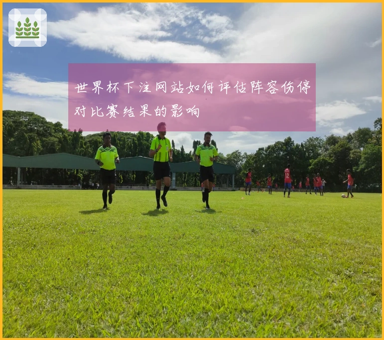 世界杯下注网站如何评估阵容伤停对比赛结果的影响 体育文章配图