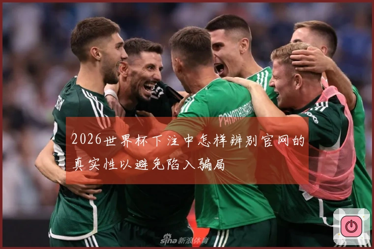 2026世界杯下注中怎样辨别官网的真实性以避免陷入骗局