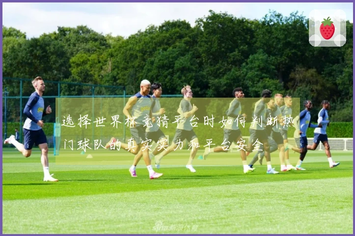 选择世界杯竞猜平台时如何判断热门球队的真实实力和平台安全