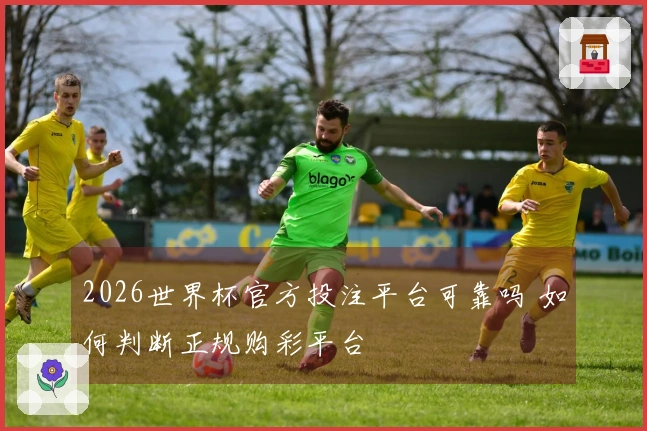 2026世界杯官方投注平台可靠吗 如何判断正规购彩平台