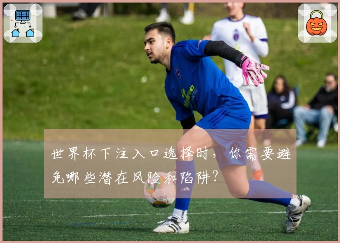 世界杯下注入口选择时，你需要避免哪些潜在风险和陷阱？